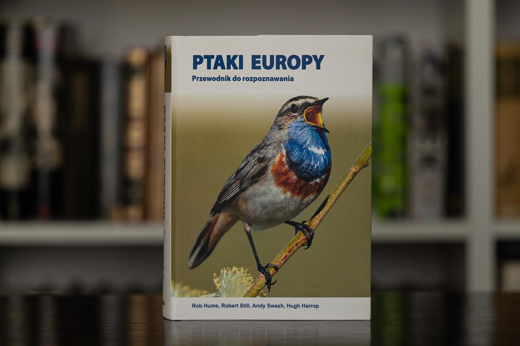 Ptasia Europa - Paweł Czapczyk - Radio Poznań