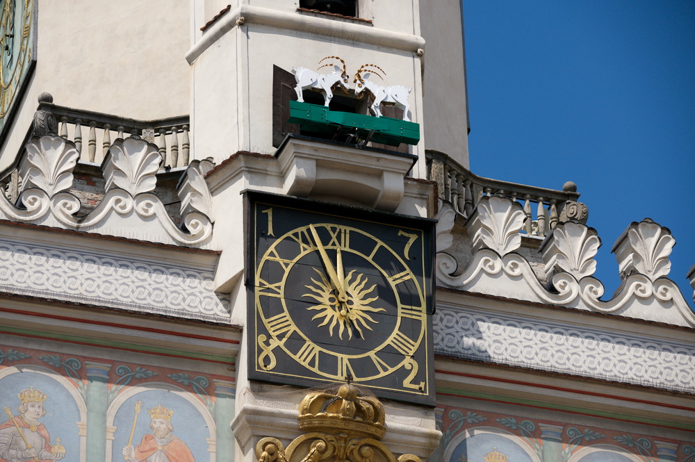 poznańskie koziołki wróciły - Mikołaj Pluciński