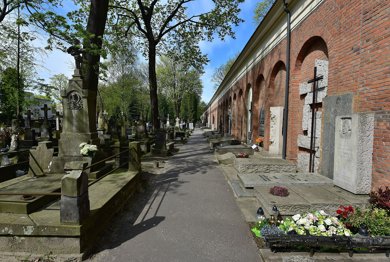 cmentarz powązki - Adrian Grycuk/Wikipedia - CC BY-SA 3.0 pl