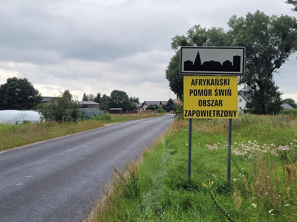 asf piła - Marek Wolski  - Radio Poznań