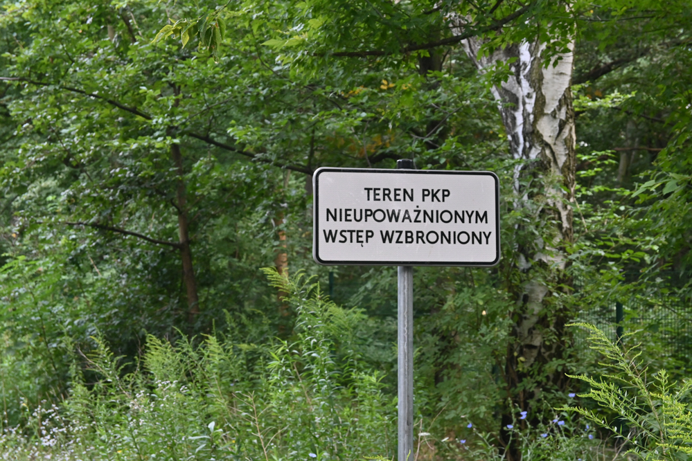 rusałka ścieżka trasa tory - Leon Bielewicz  - Radio Poznań