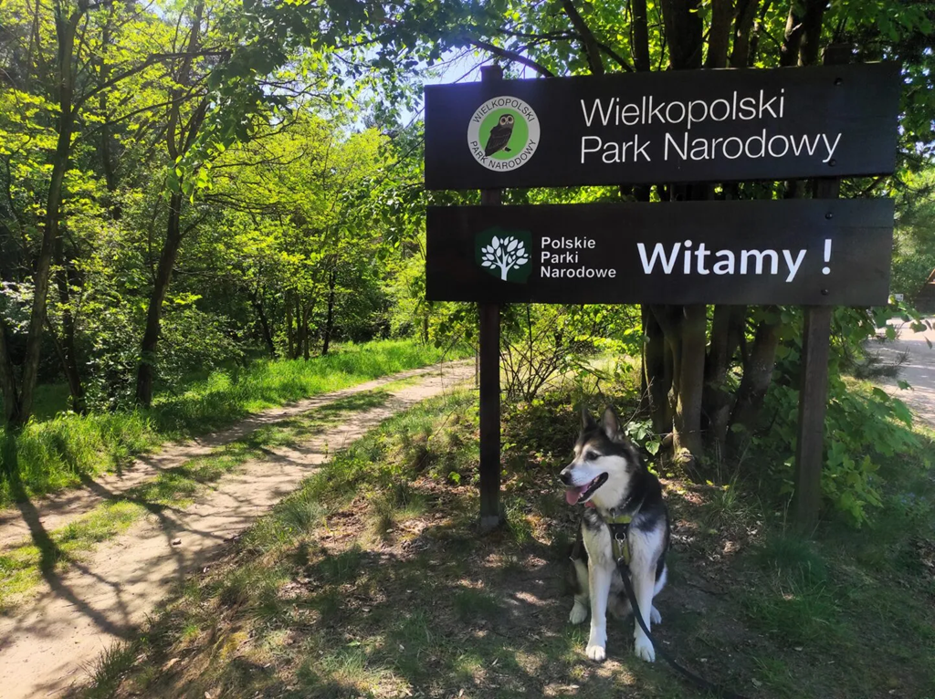 WielkopolskaTravel