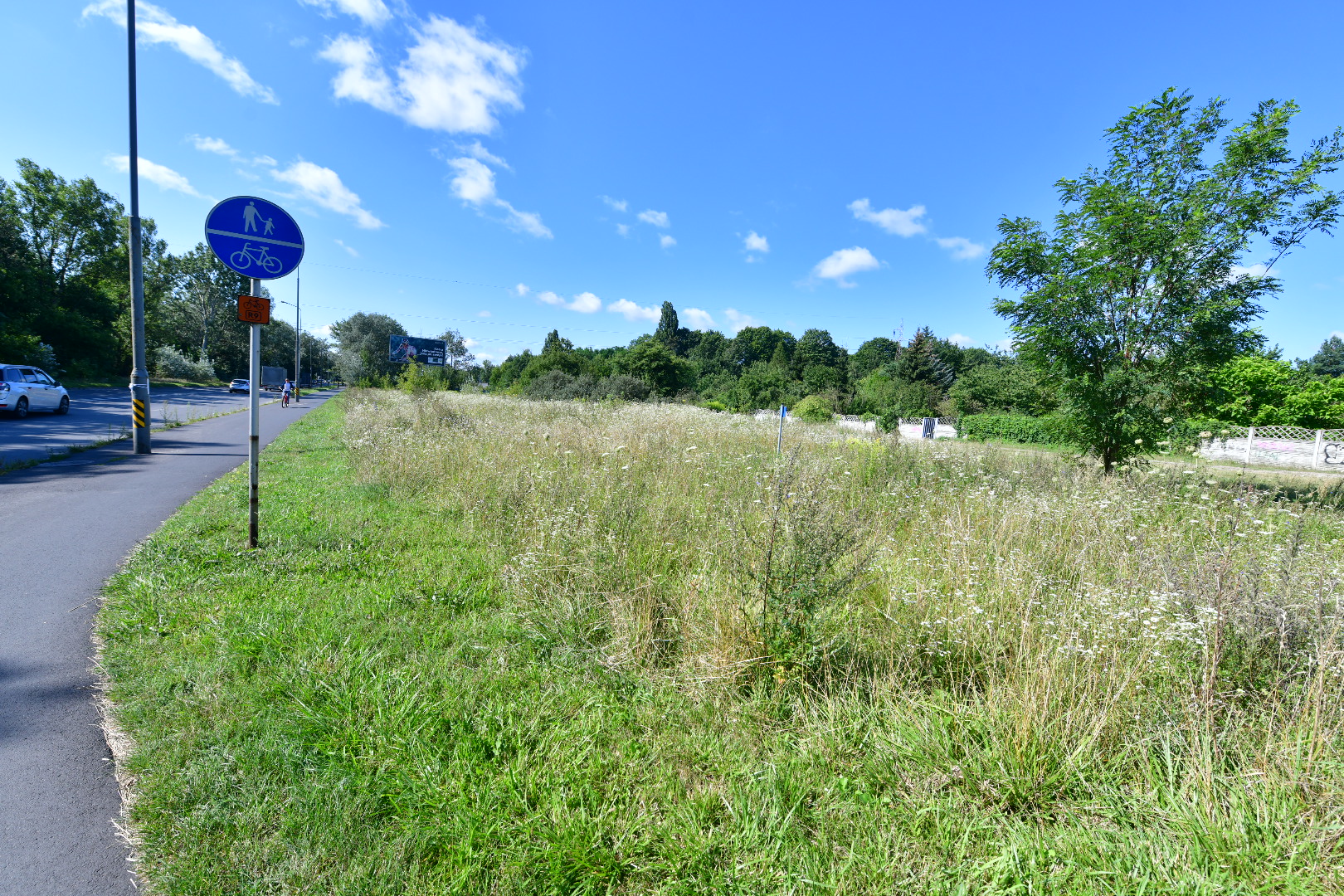 klin zieleni wilda inwestor deweloper - Wojtek Wardejn