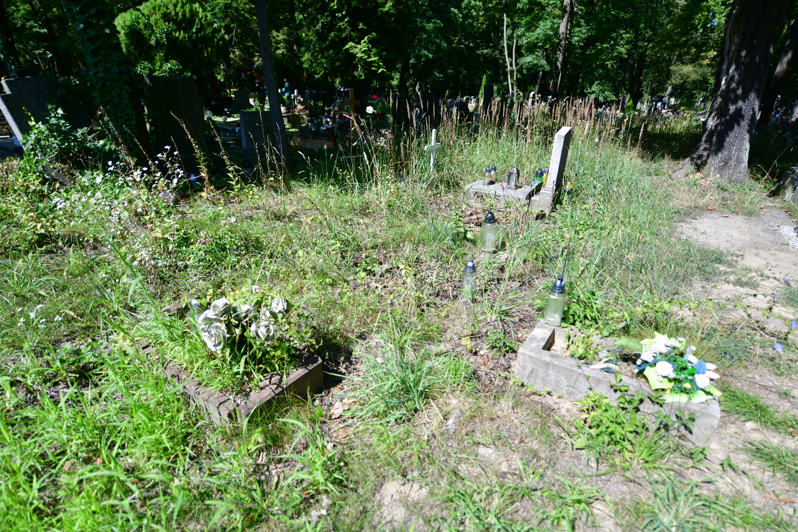 groby - Wojtek Wardejn - Radio Poznań