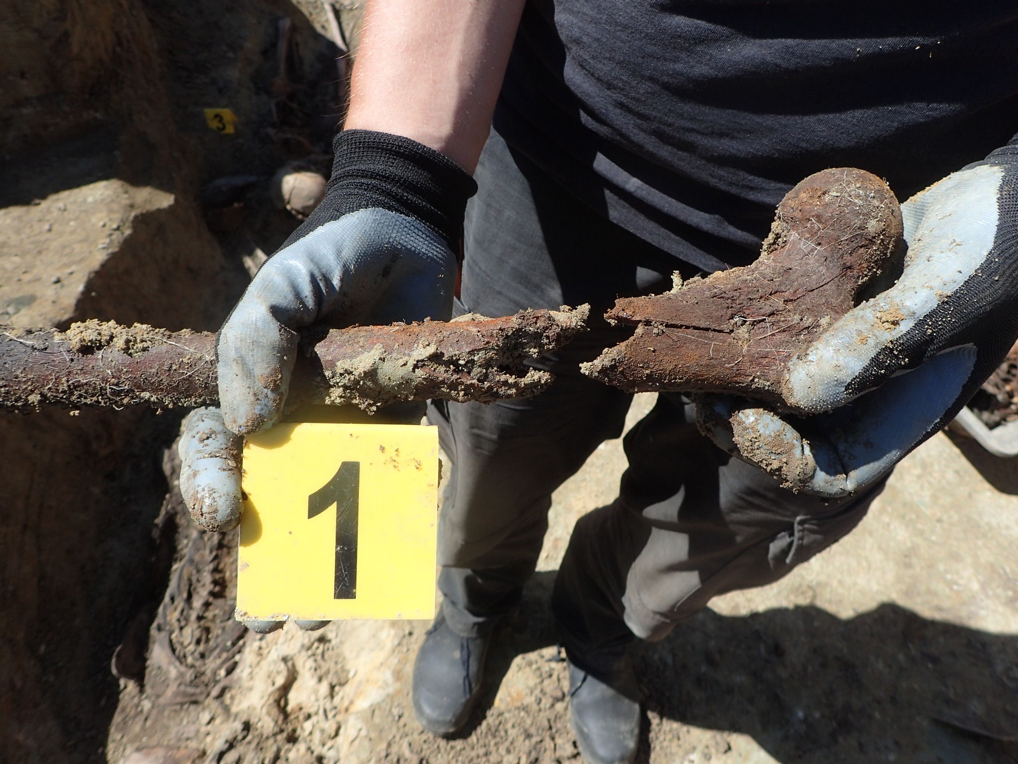 Ekshumacja Bierzwienna - Pracownia Badań Historycznych i Archeologicznych Pomost