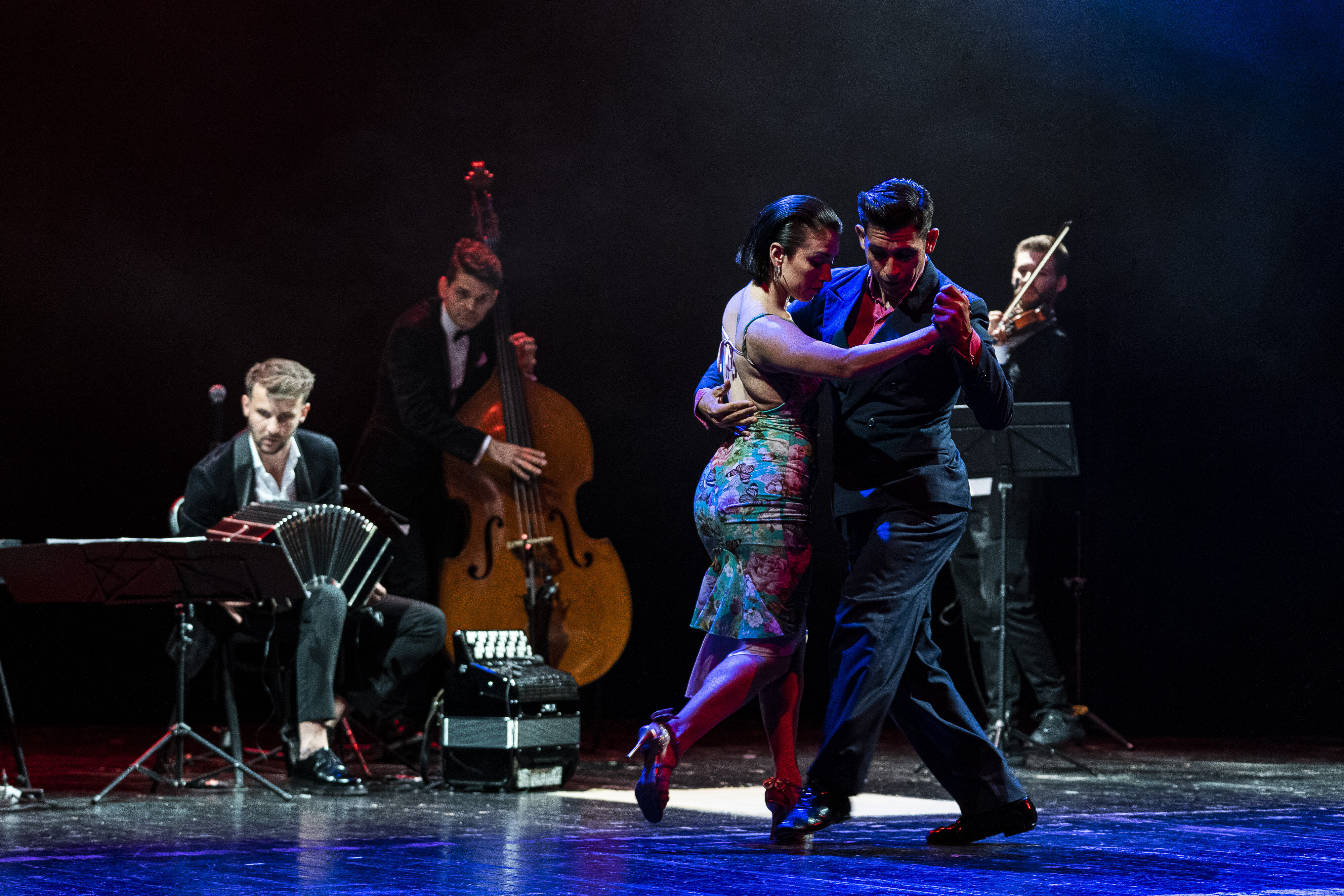 Gotango Festival 3 - Organizator