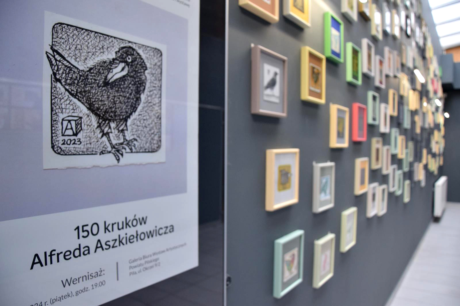 kruki Piła BWA - Organizator