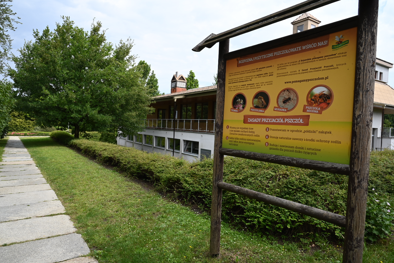 Wojtek Wardejn