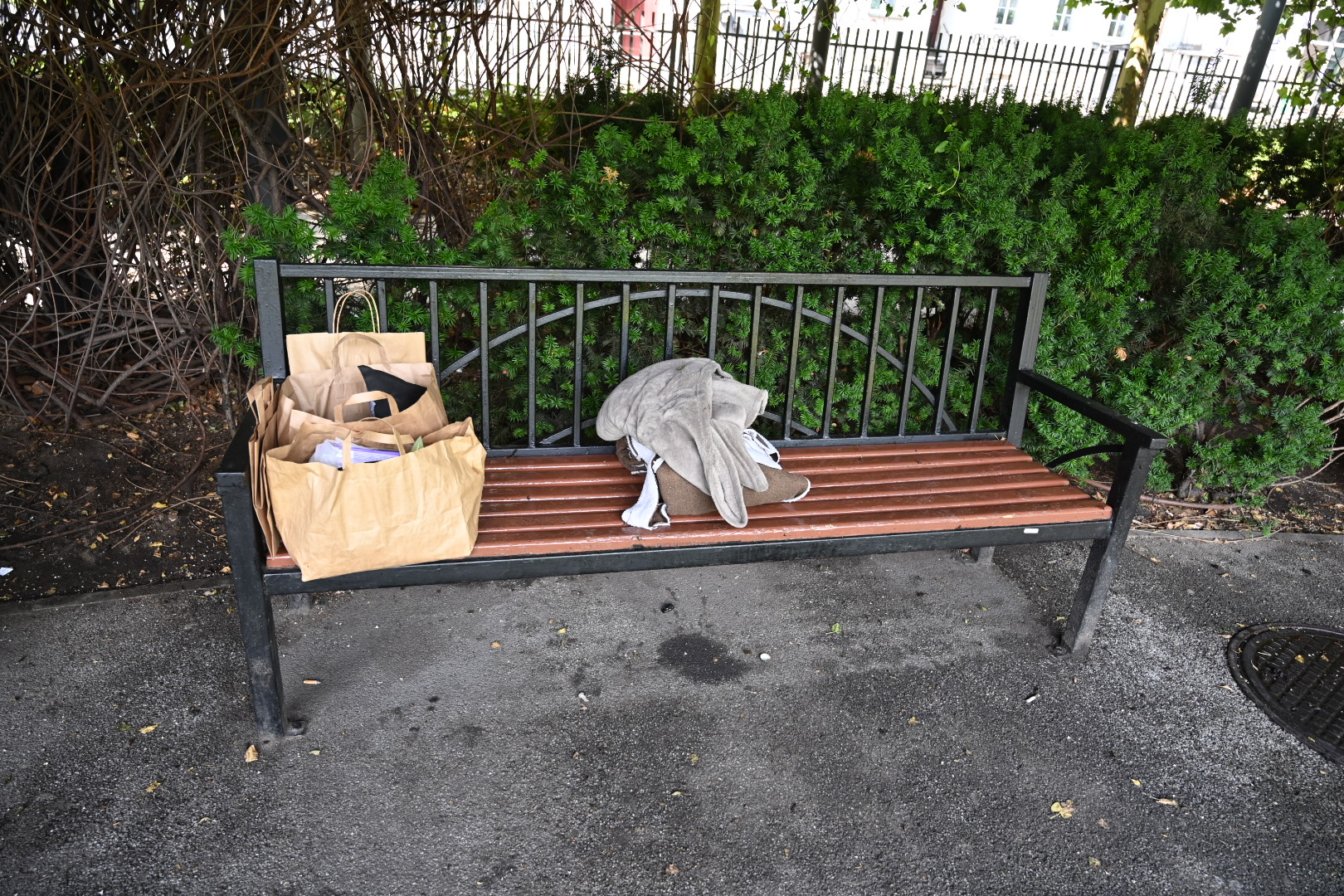 Zielone Ogródki im. Zbigniewa Zakrzewskiego - Wojtek Wardejn - Radio Poznań