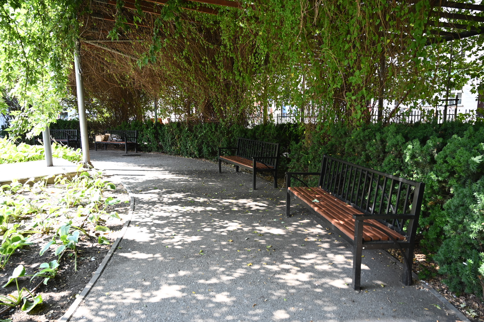 Zielone Ogródki im. Zbigniewa Zakrzewskiego - Wojtek Wardejn - Radio Poznań