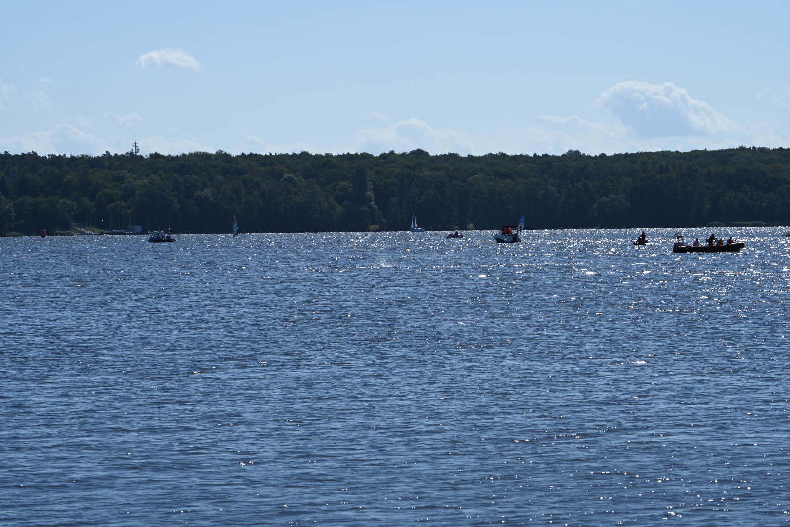 Wpław przez Kiekrz. Warzocha najszybszy spośród siedemnastu śmiałków - Wojtek Wardejn - Radio Poznań