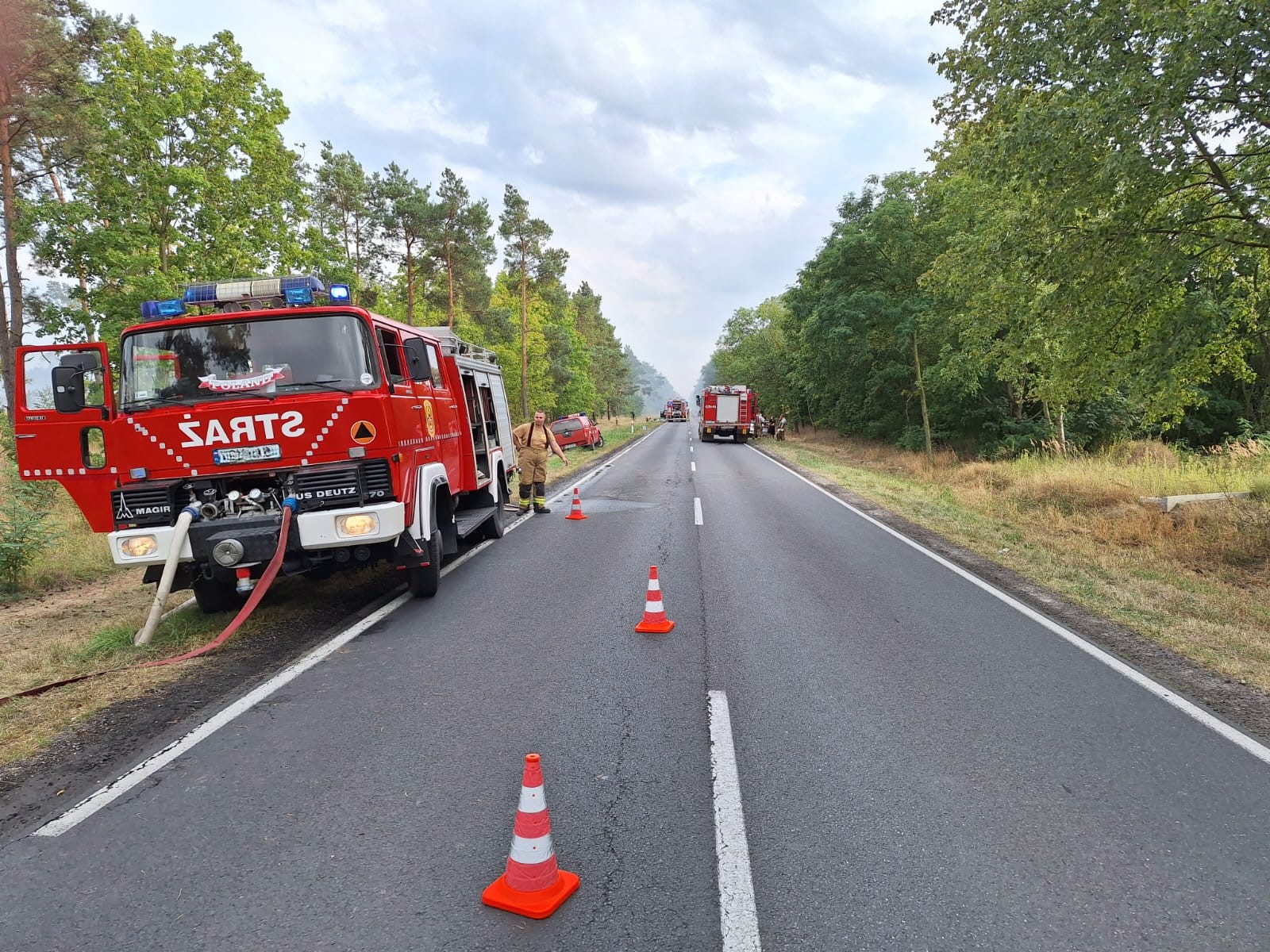 Tomasz Rurek/Nadleśnictwo Gniezno