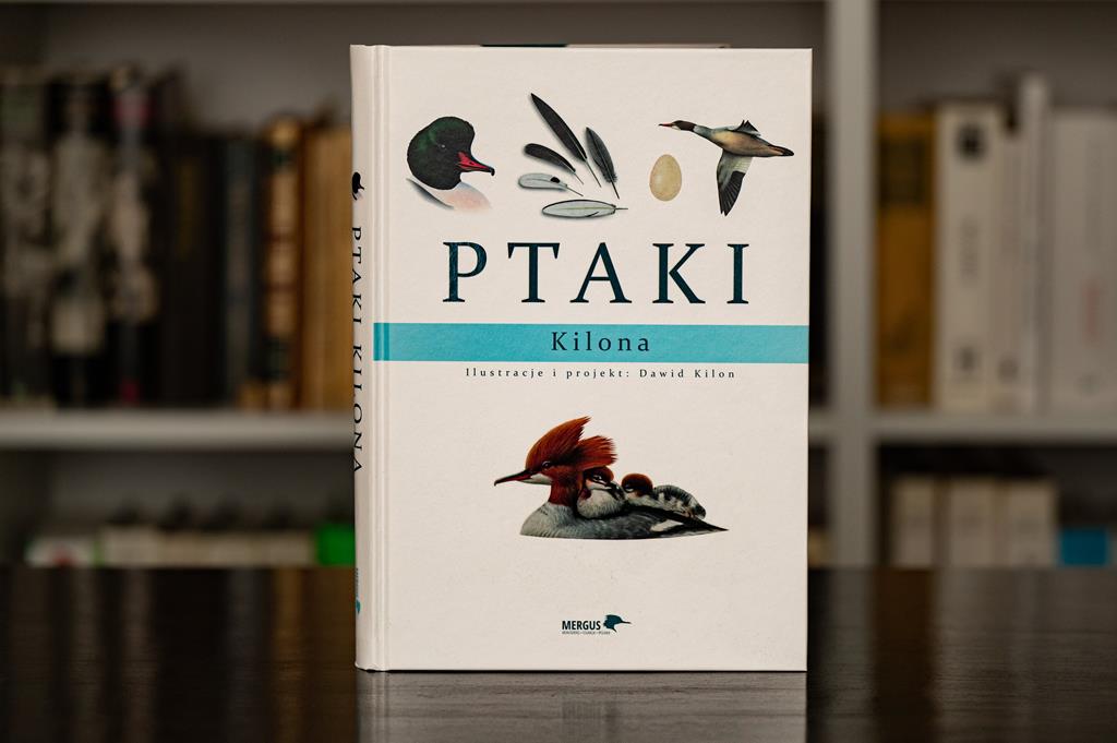 Ptaki Kilona - Paweł Czapczyk - Radio Poznań