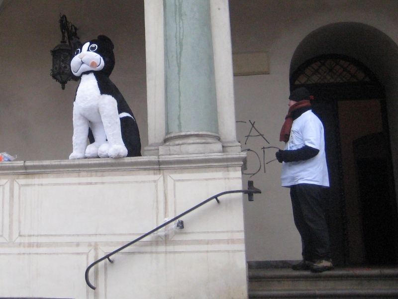 Wielka psota na dzień kota - wełna - Jacek Butlewski