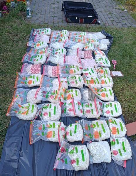 wielkopolska.policja.gov.pl