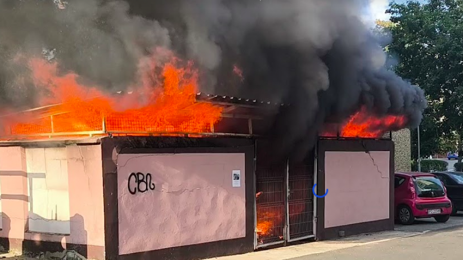 Pożar wiaty - kris/TVP Poznań