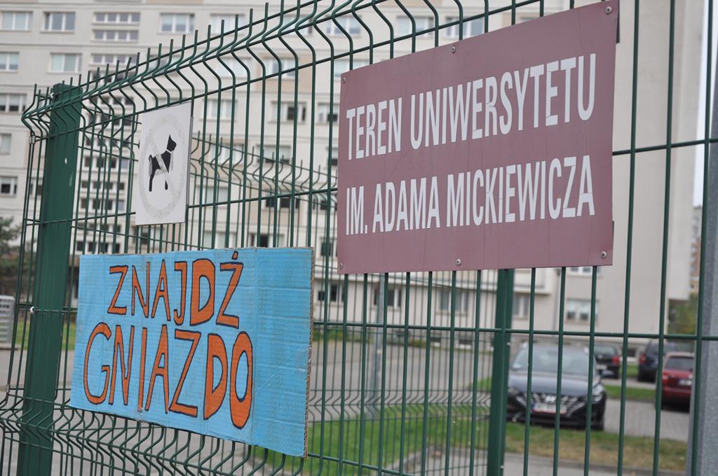 Gniazdo - Eliza Hajdenrajch - Radio Poznań