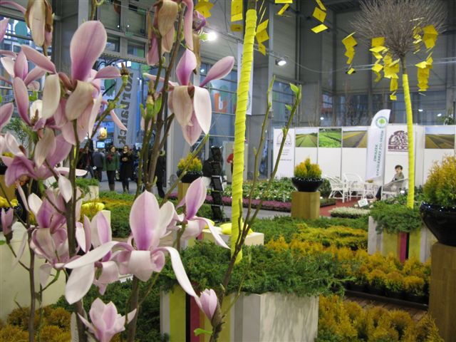 Wojciech Chmielewski