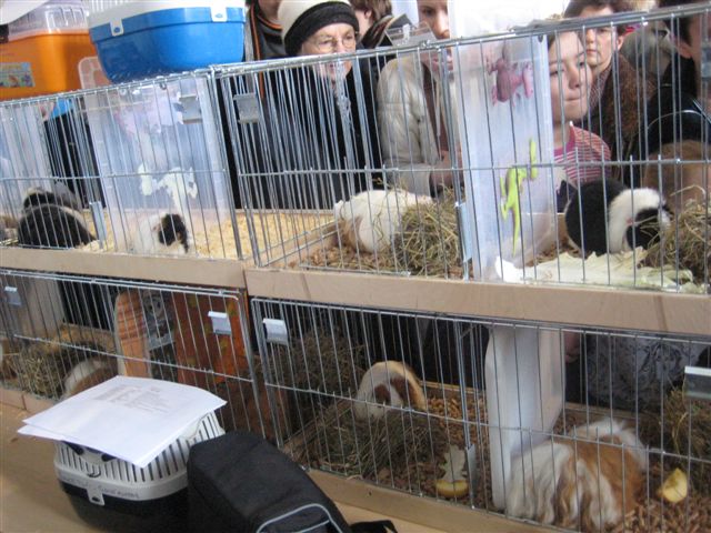 Aleksandra Włodarczyk