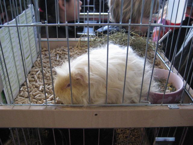 Aleksandra Włodarczyk