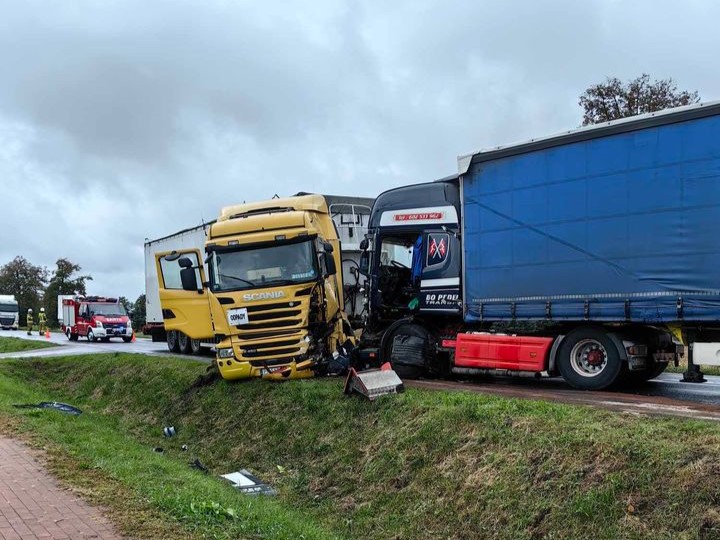 Obotniki - Motosygnały