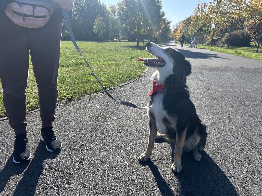 marsz kejterka poznań - Szymon Majchrzak