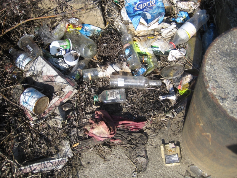 Bałagan, śmieci nad rzeką - Jacek Butlewski