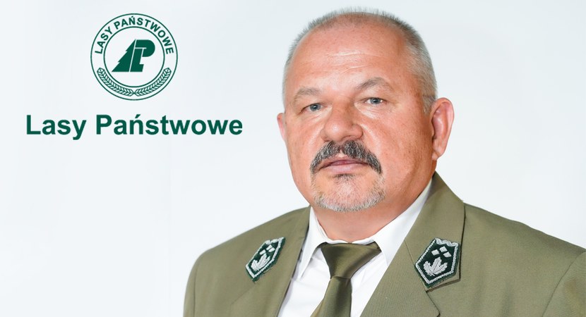 kwiryn naparty - lasy.gov.pl