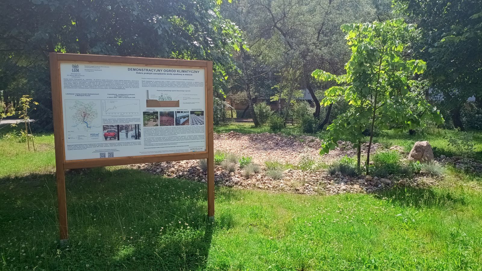 demonstracyjny ogród klimatyczny uam - dr Piotr Lupa