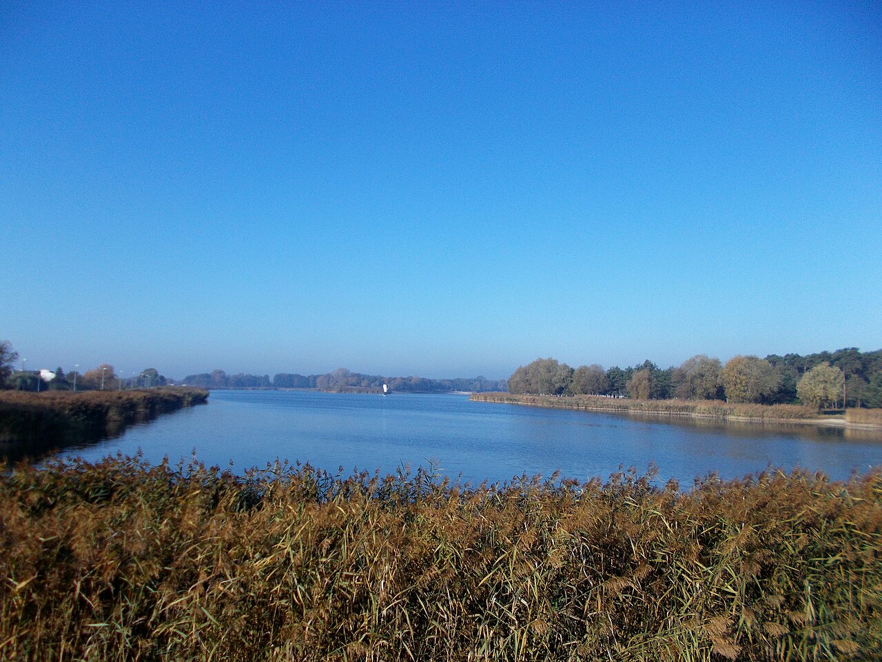 piaski szczygliczka - Autorstwa Koroniec - Praca własna, CC BY-SA 4.0, https://commons.wikimedia.org/w/index.php?curid=73799287