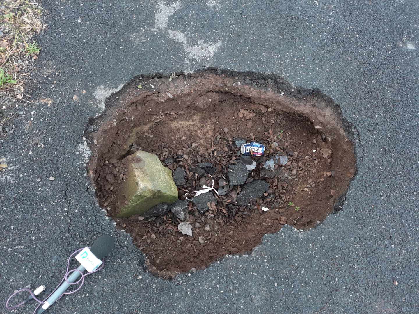 Bobry dziury - Rafał Muniak - Radio Poznań