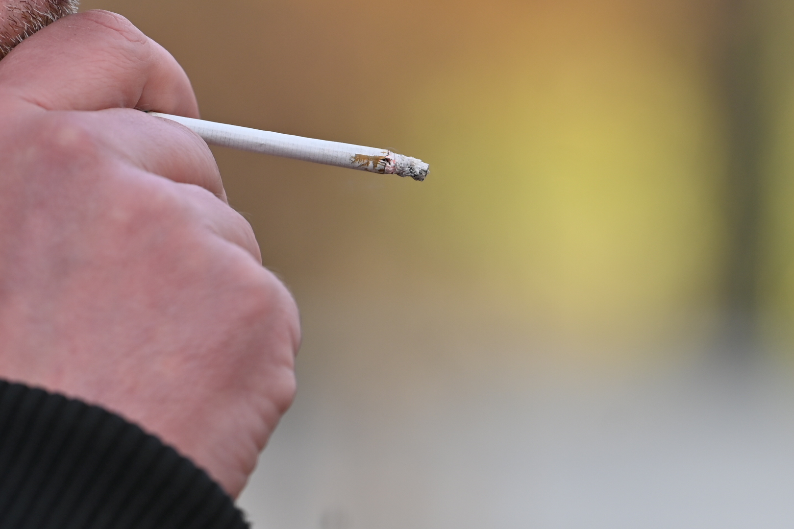 palacz - Wojtek Wardejn - Radio Poznań