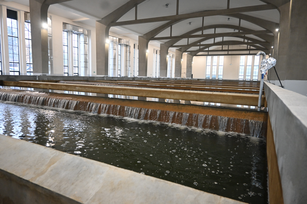 Aquanet - Leon Bielewicz - Radio Poznań