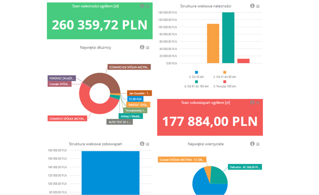 bi - point - comarch - erp - optima
