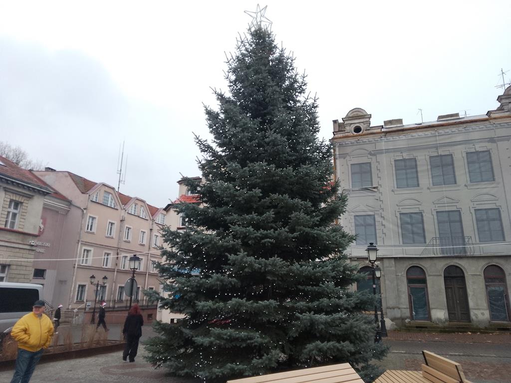 Konin choinka - Michalina Maciaszek - Radio Poznań