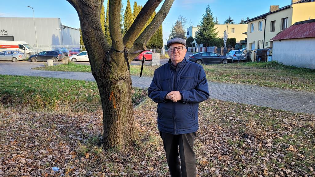 Dąb i pan Włodzimierz - Krzysztof Polasik - Radio Poznań