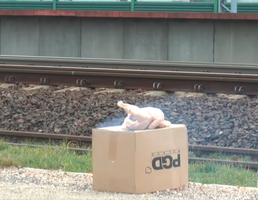 Indyk pirotechniczny - Straż Miejska w Swarzędzu