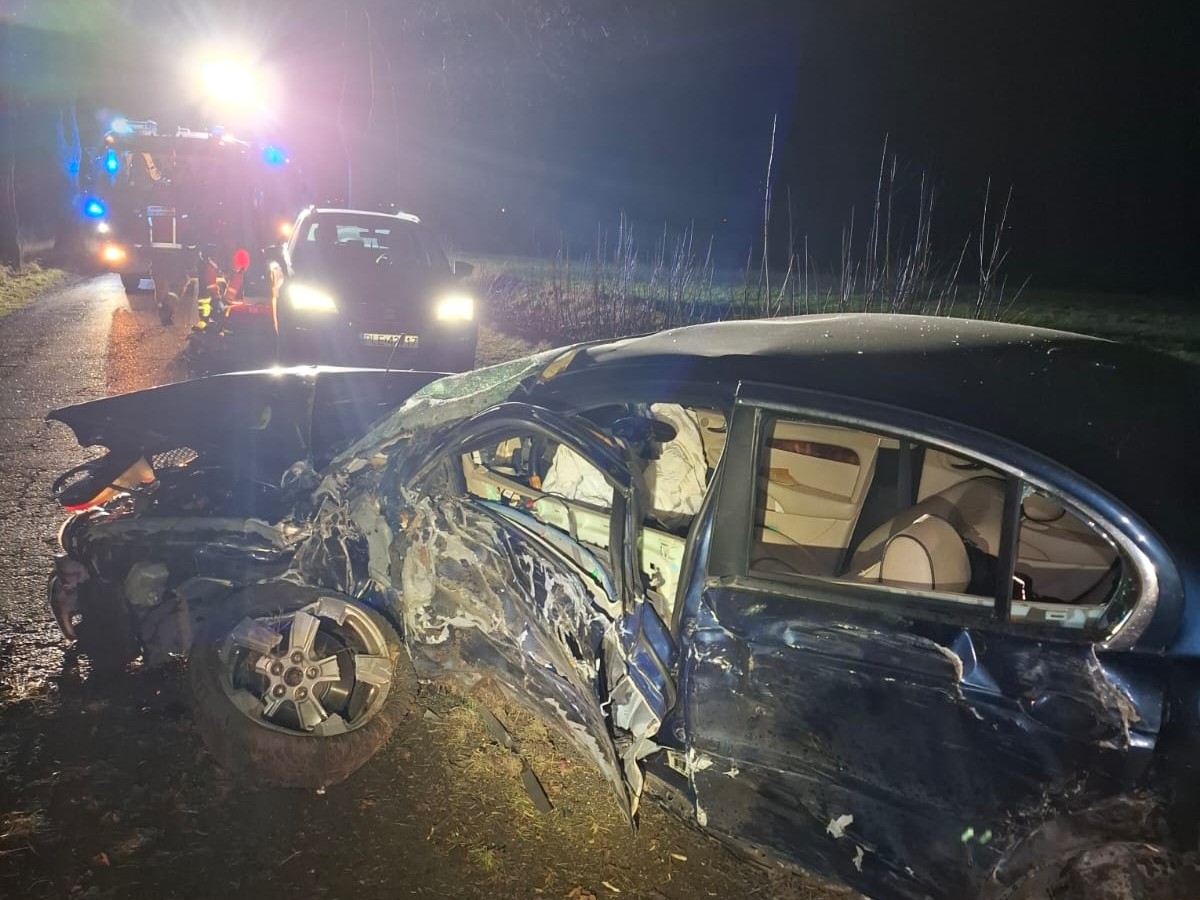 Jaguar tuli drzewo - PSP Leszno