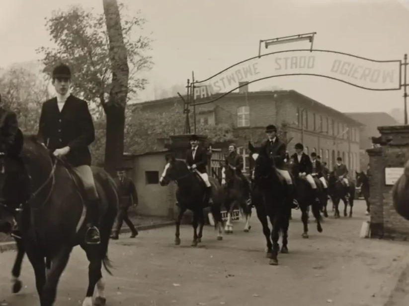 gniezno dragon jeździectwo konie - przemiany.net