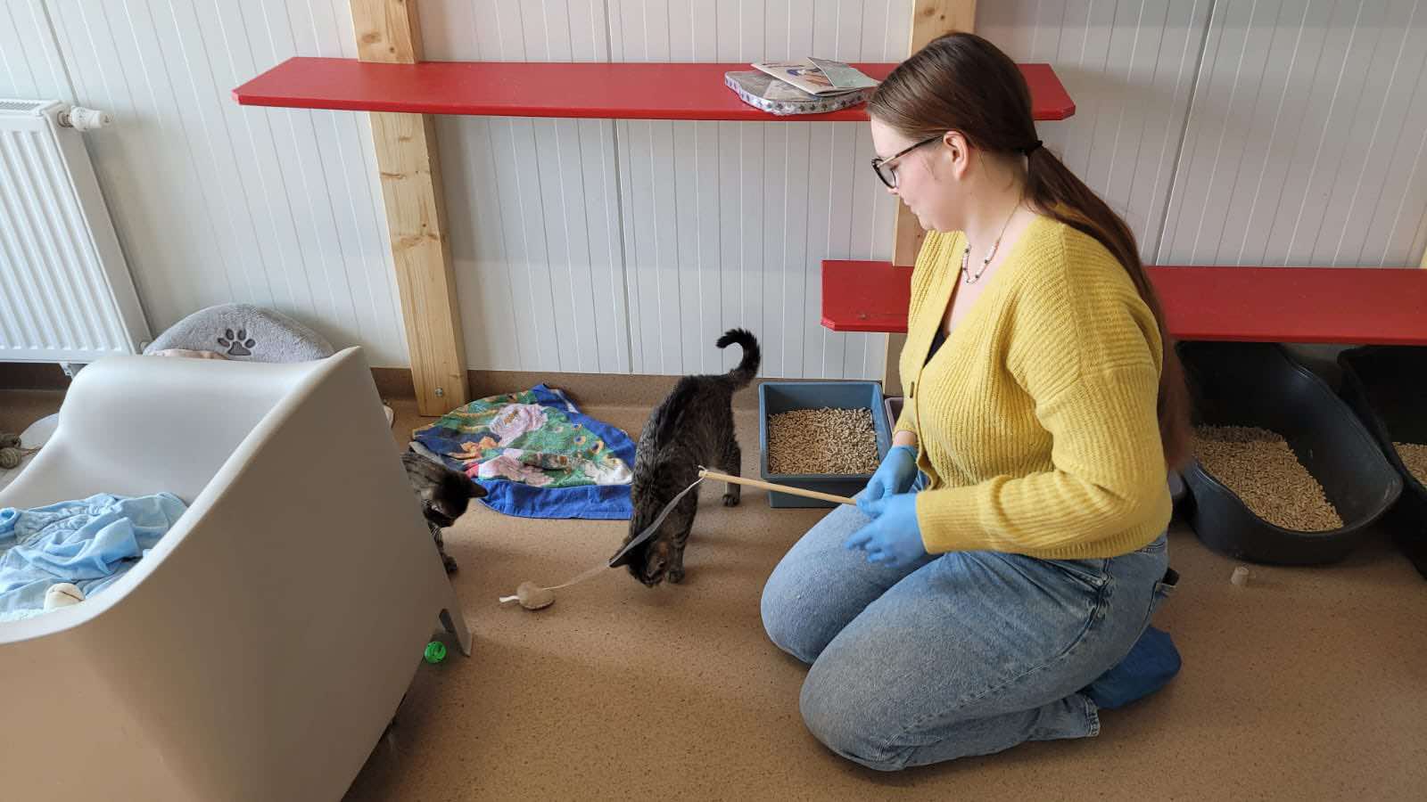 koty - Krzysztof Polasik - Radio Poznań