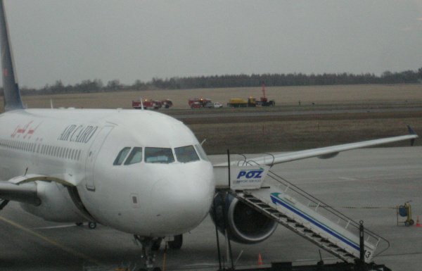 Ławica pas 1 - Anna Skoczek