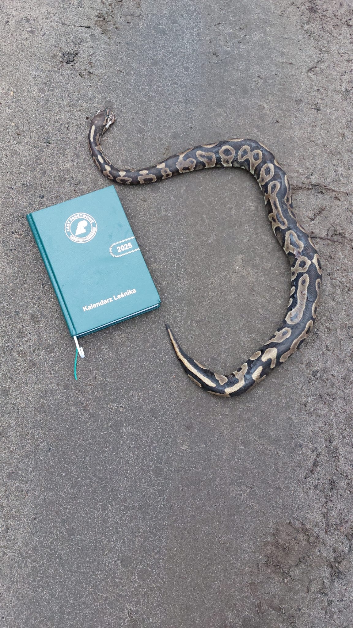 Nadleśnictwo Grodzisk