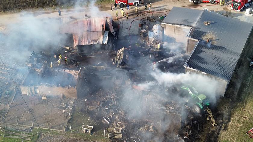 Fajum - Kalisz24 INFO