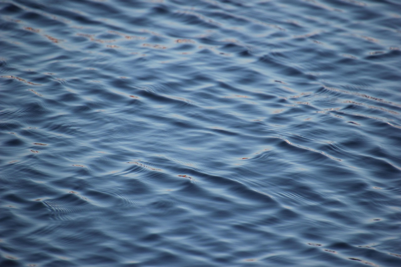 woda morze jezioro staw fale - DominikRh - Pixabay