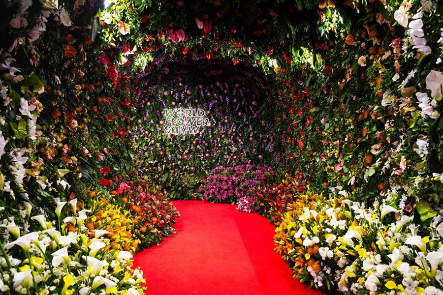 flower show wystawa kwiatów poznań - World Flower Show