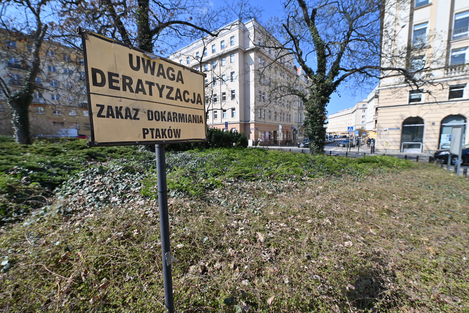 deratyzacja  - Wojtek Wardejn - Radio Poznań