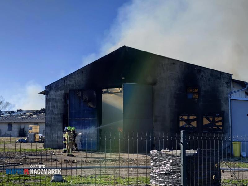 pożar kurnik żodyń