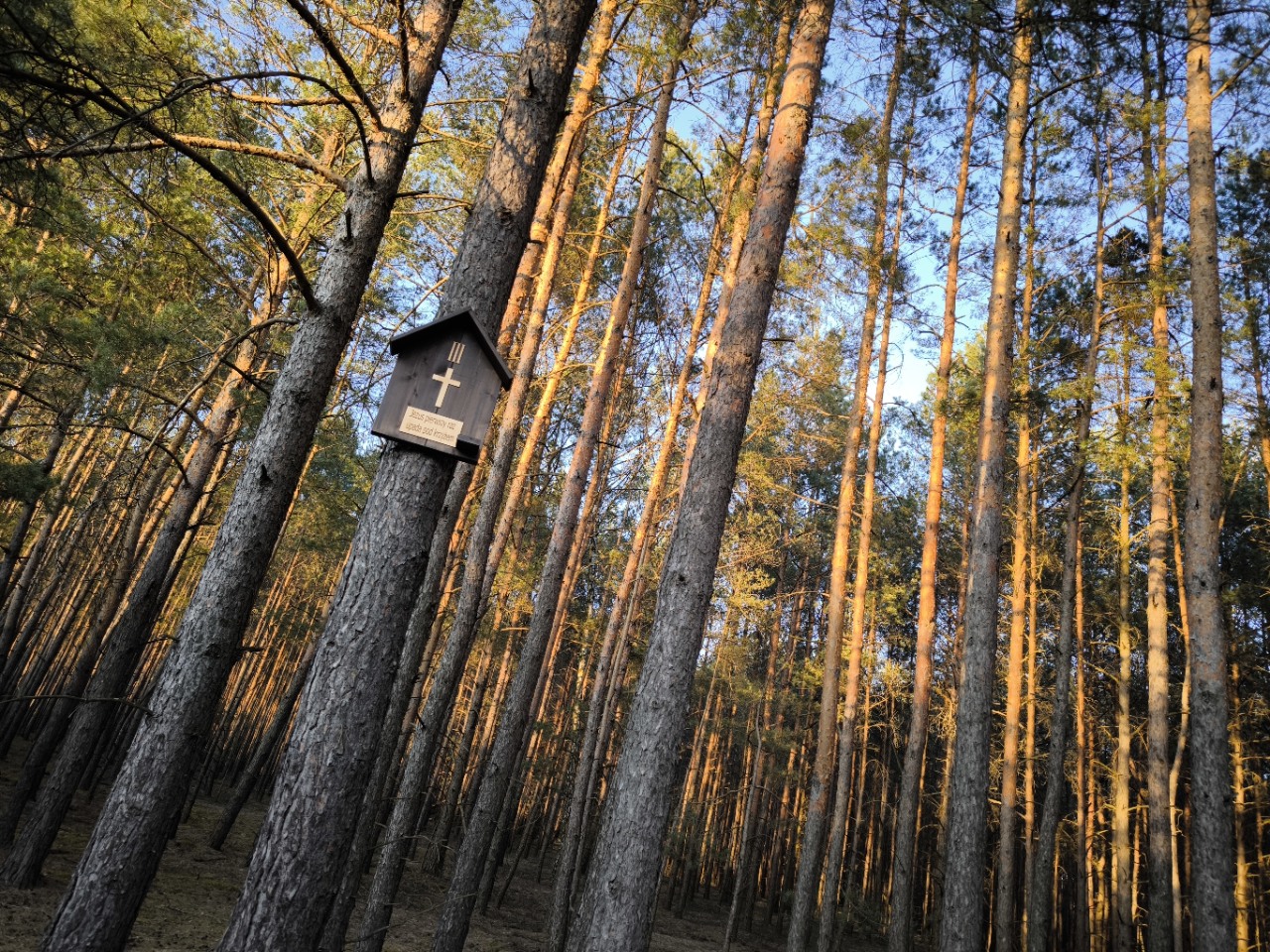 leśna droga krzyżowa