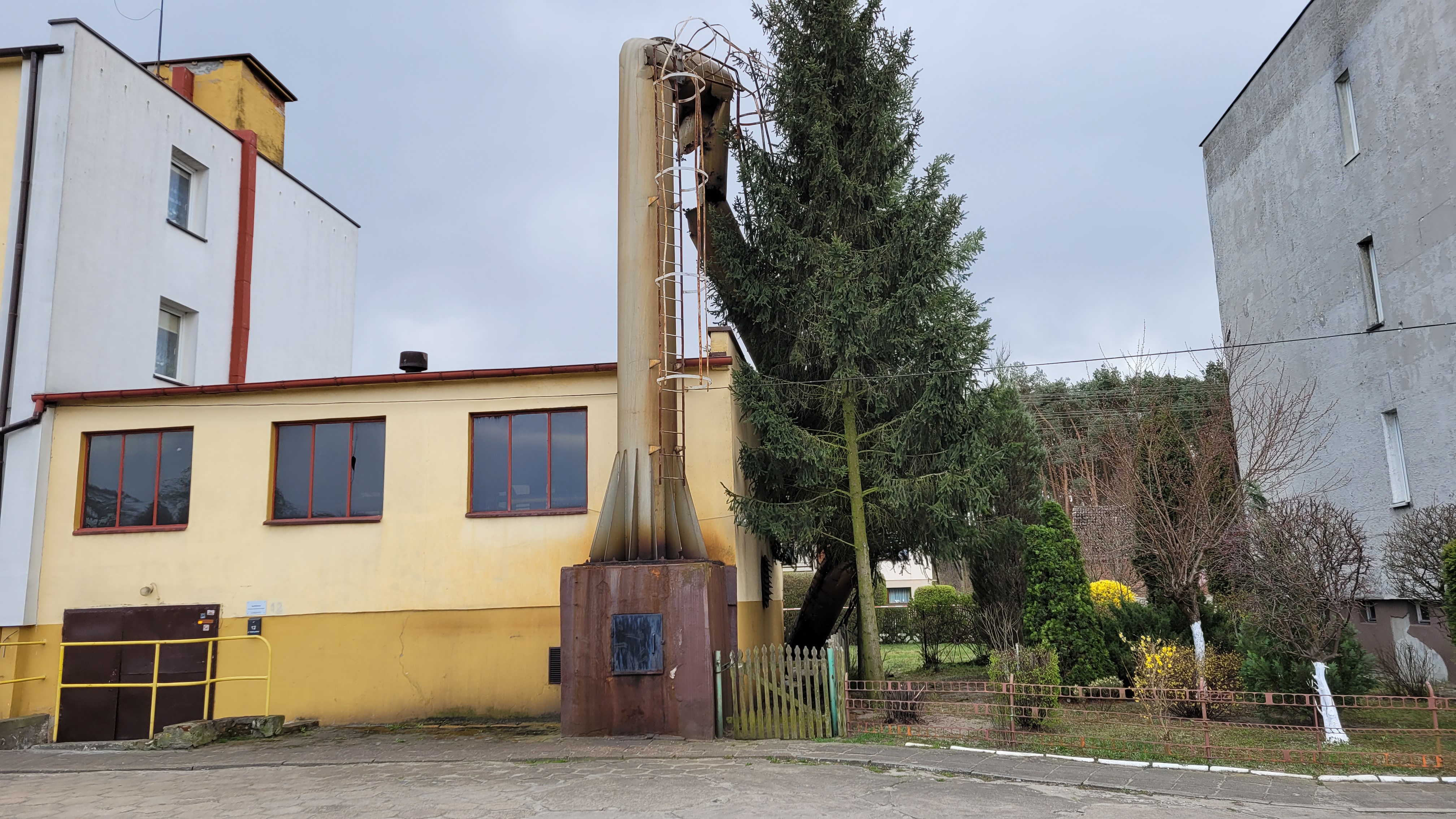 sośnie - Krzysztof Polasik - Radio Poznań