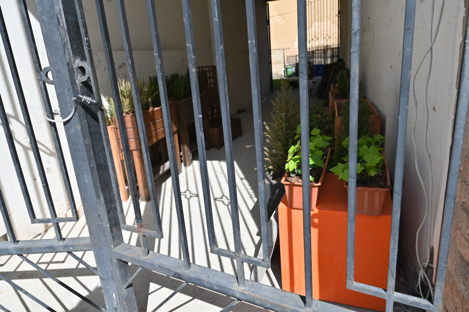 Donice - Wojtek Wardejn - Radio Poznań